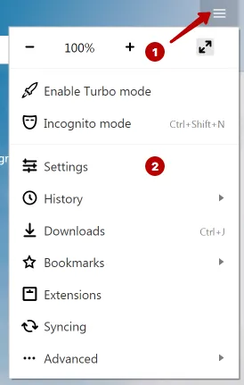 Settings Yandex Browser