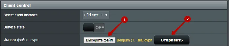 Импортируйте конфигурацию OpenVPN