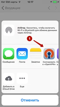 Скопировать файлы в OpenVPN на iOS